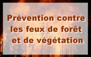 Prevention-contre-les-feux-de-foret-et-de-vegetation_large