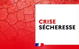 téléchargement