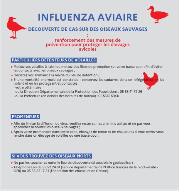 Iavaviaire 1