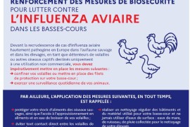 Iavaviaire page garde