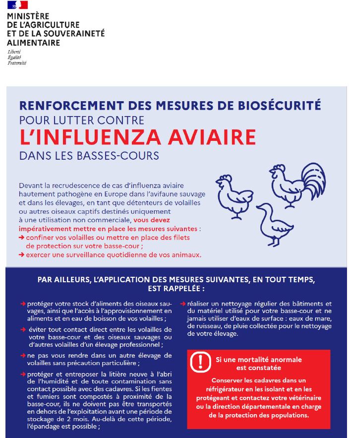 Iavaviaire page garde