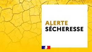 téléchargement